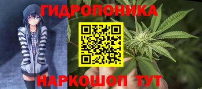 прущие крисы Краснодар
